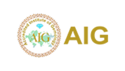 Aig logo